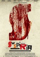 Suspiria poster image