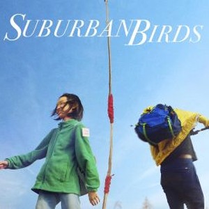 Suburban Birds photo 13