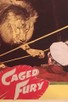Poster for