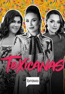 Texicanas poster image