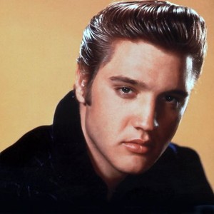 Image result for elvis presley