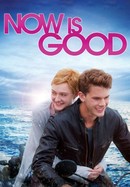 Now Is Good poster image