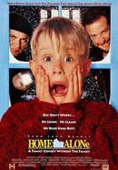 Home Alone poster image