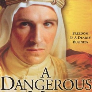 A Dangerous Man: Lawrence After Arabia photo 6