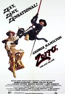 Zorro, the Gay Blade poster image