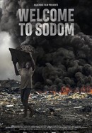 Welcome to Sodom poster image