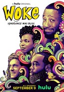 Woke poster image