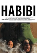 Habibi poster image