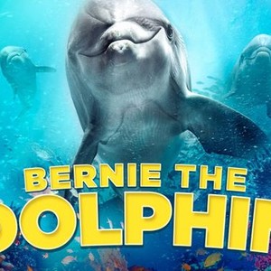 Bernie the Dolphin