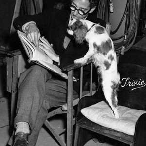 SEVEN DAYS TO NOON, director John Boulting, Trixie the King Charles spaniel, on-set, 1950