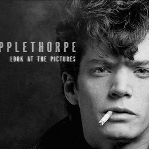 Mapplethorpe: Look at the Pictures photo 5