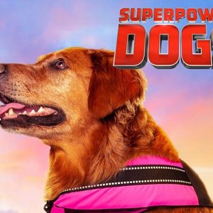 "Superpower Dogs photo 13"