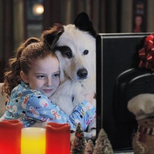 how old is chloe in dog with a blog