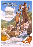 My Side of the Mountain poster image