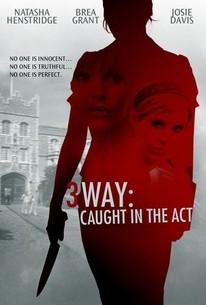 Poster for 3 Way: Caught in the Act