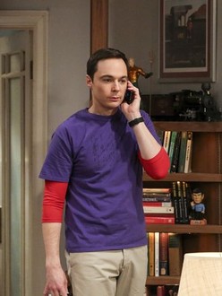 The big bang theory season 11 episode 13 watch online online