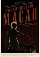 The Last Time I Saw Macao poster image