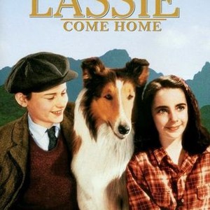 First lassie discount movie