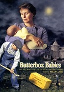 Butterbox Babies poster image