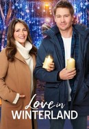 Love in Winterland poster image