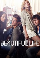 The Beautiful Life: TBL poster image