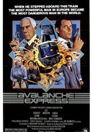 Avalanche Express poster image