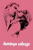 Poster for