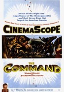 The Command poster image