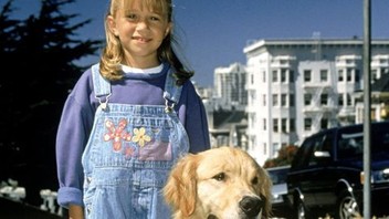 23KB 2001 null null null null 3 18 21 1 2003 null x4cF56SPFatyRM