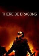 There Be Dragons poster image