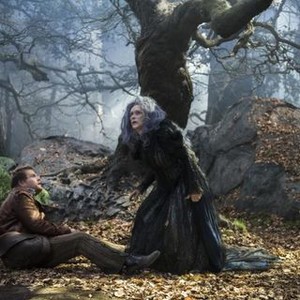 Into the Woods photo 15