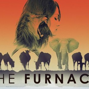 The Furnace photo 5