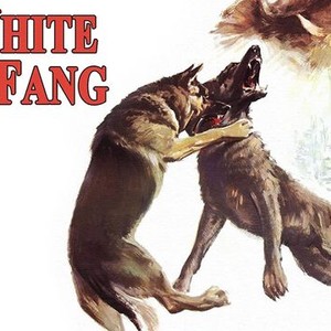 "White Fang photo 5"