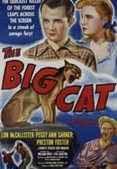 The Big Cat poster image