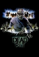 The Dead Pit poster image