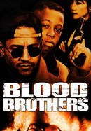 Blood Brothers poster image