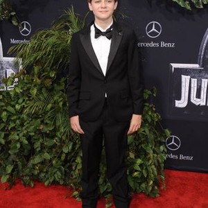 Ty Simpkins at arrivals for JURASSIC WORLD Premiere, The Dolby Theatre at Hollywood and Highland Center, Los Angeles, CA June 9, 2015. Photo By: Dee Cercone/Everett Collection