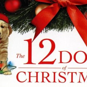 The 12 Dogs of Christmas photo 10