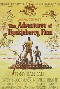 The Adventures of Huckleberry Finn | Rotten Tomatoes