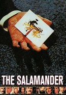 The Salamander poster image