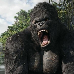 "King Kong photo 3"