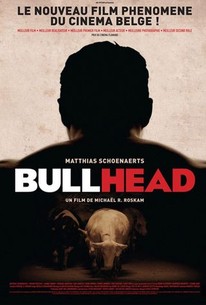 Watch trailer for Bullhead