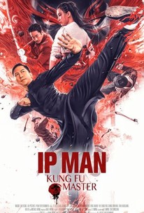 Ip Man Kung Fu Master 2019 Rotten Tomatoes