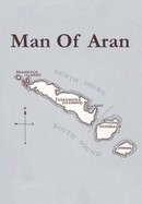 Man of Aran poster image