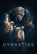 Dynasties poster image