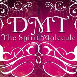 DMT: The Spirit Molecule (2010) photo 9