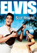 Blue Hawaii poster image