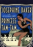 Princess Tam-Tam poster image