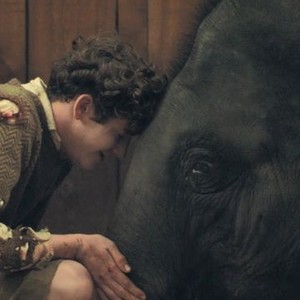 Zoo (2017) photo 16