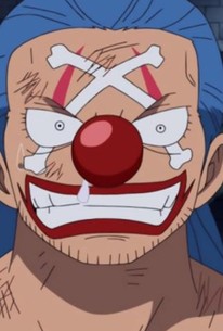One Piece Season 13 Episode 24 Rotten Tomatoes